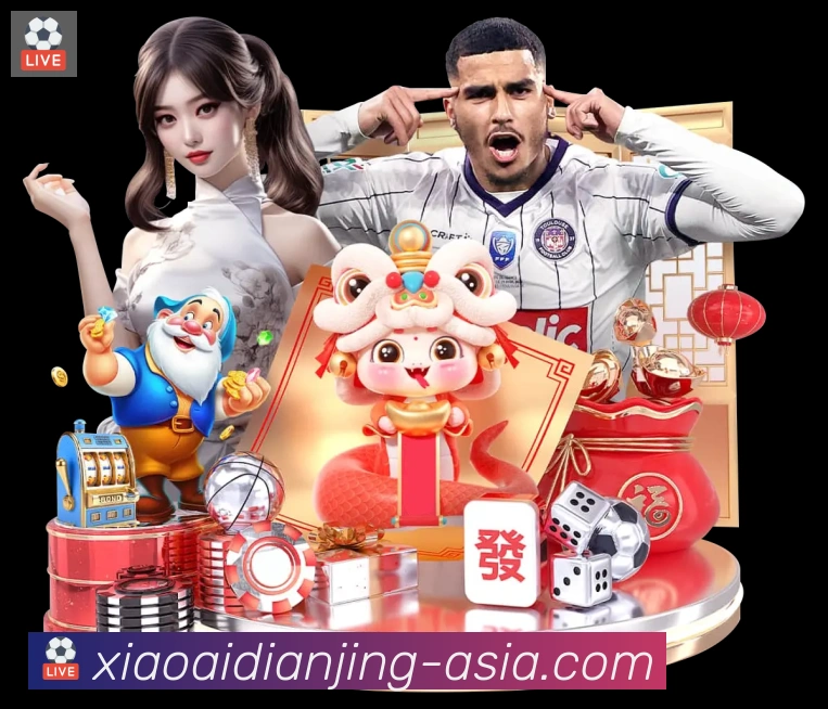 企业概况